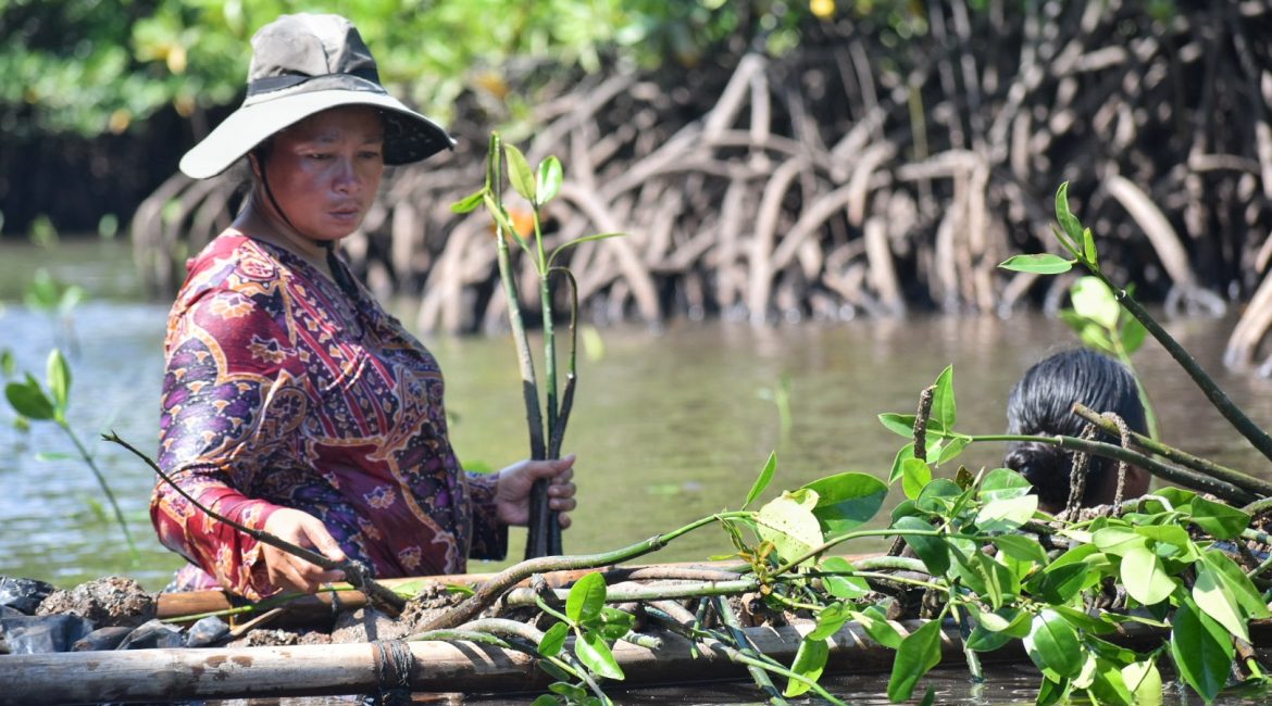 A woman works in a mangrove conservation project in Culion, Palawan, Philippines.