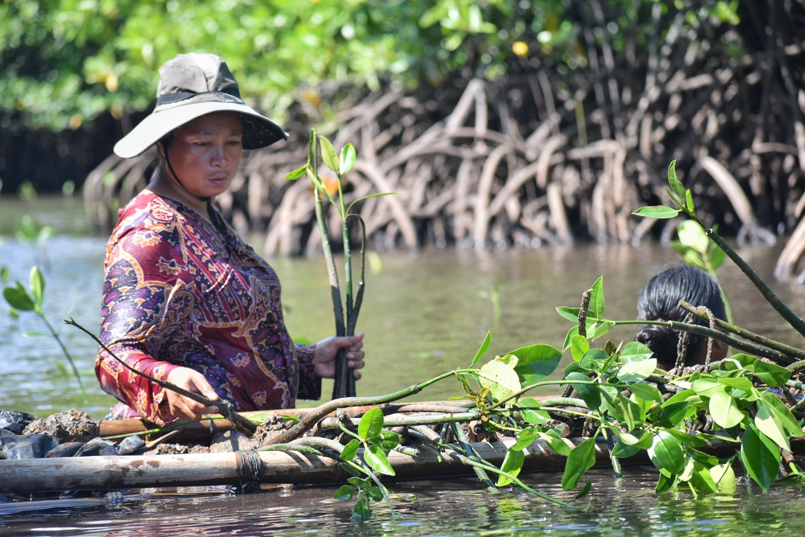 Citizen-led marine conservation advocacy in Palawan seeks expansion