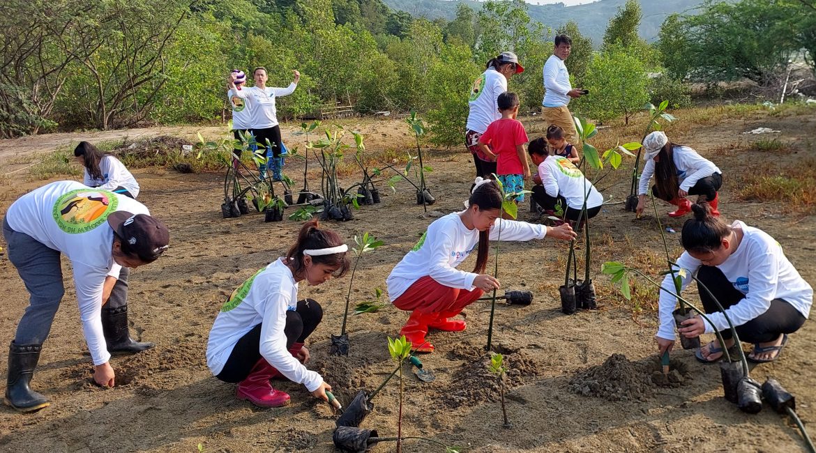 Women planting mangrove